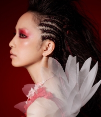 《FILM LOTUS IX》中岛美嘉暌违4年6/29发行MV合集 DVD+蓝光