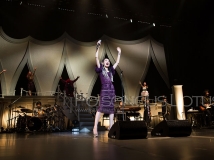 中岛美嘉2015年巡演照片 3/3